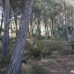 Moraira property: bedroom Land in Alicante 96828