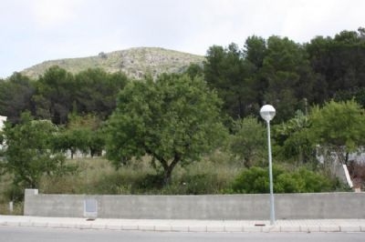 Alcalali property: Land for sale in Alcalali 96829