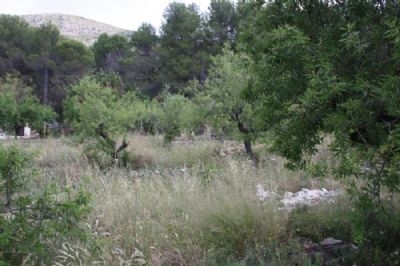 Alcalali property: Land with bedroom in Alcalali 96829