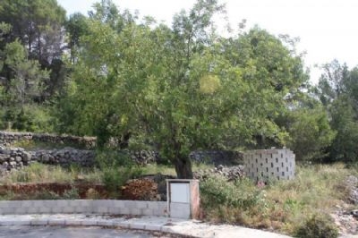 Alcalali property: Land with bedroom in Alcalali, Spain 96830