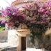 Benissa property: Benissa, Spain Villa 96833