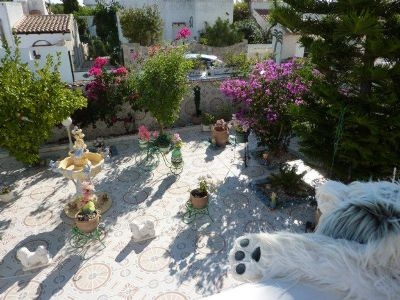 Pinar De Campoverde property: Villa for sale in Pinar De Campoverde, Spain 97091