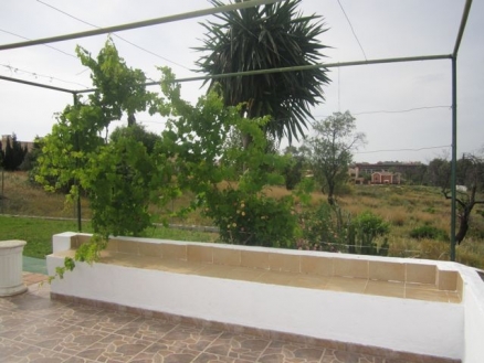 Guadalmina Alta property: House in Malaga to rent 97512