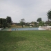 Guadalmina Alta property: Guadalmina Alta, Spain House 97512