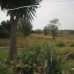 Guadalmina Alta property: Guadalmina Alta House, Spain 97512