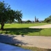 Guadalmina property: Villa in Guadalmina 97572
