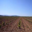 Land for sale in town 98986