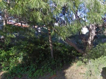 Land for sale in town, Alicante 98987