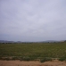 Land in town 98995