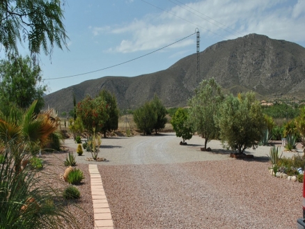 Hondon De Los Frailes property: Villa in Alicante for sale 99013