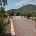 Hondon De Los Frailes property: Villa in Hondon De Los Frailes 99013