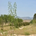 Salinas property: Salinas Villa, Spain 99019