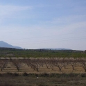 Pinoso property: Land for sale in Pinoso 99073