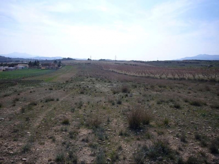 Pinoso property: Land for sale in Pinoso, Spain 99073