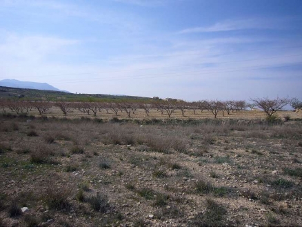 Pinoso property: Land for sale in Pinoso, Alicante 99073