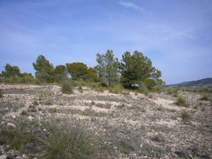 Pinoso property: Pinoso, Spain | Land for sale 99073