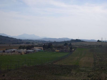 Pinoso property: Pinoso Land 99073