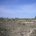 Pinoso property: Pinoso Land, Spain 99073