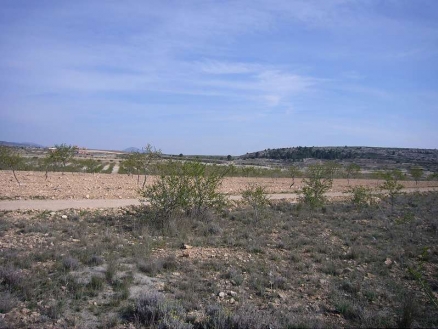 Land for sale in town, Spain 99075