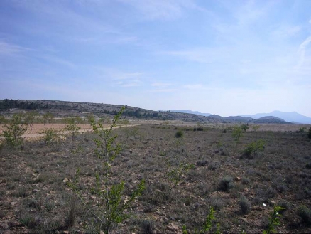 Land with bedroom in town 99075