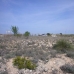 town Land, Spain 99075