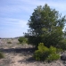Alicante Land, Spain 99075