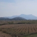 Beautiful Land for sale in town 99075