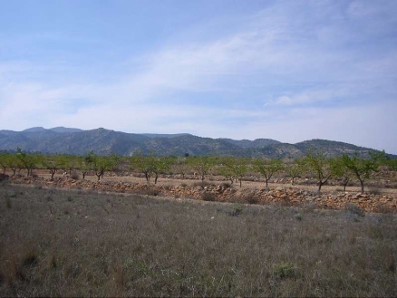 Land for sale in town 99076