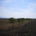 town Land, Spain 99076