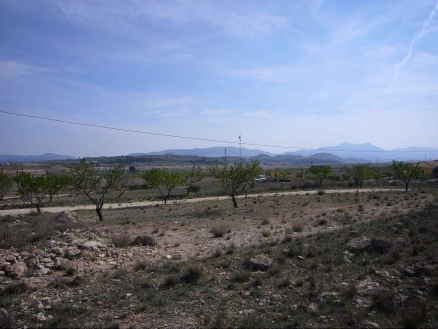Land for sale in town 99077