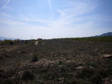 Land for sale in town, Spain 99077