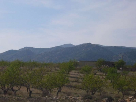 Land for sale in town, Alicante 99077