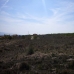 town, Spain Land 99077
