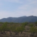  Land in Alicante 99077