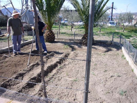 Sax property: House in Alicante for sale 99081