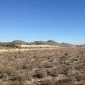 Land for sale in town 99110