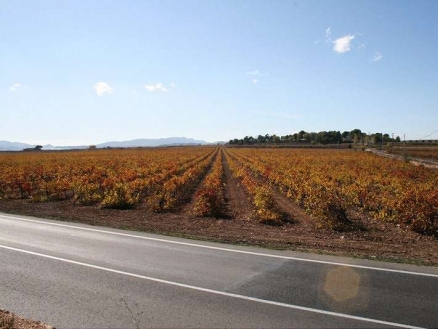 Pinoso property: House with 6 bedroom in Pinoso 99137