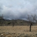 Pinoso property: Land in Alicante 99140