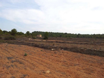 Villamartin property: Land for sale in Villamartin, Spain 99150