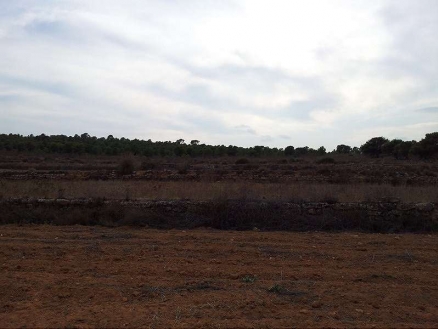 Villamartin property: Land with bedroom in Villamartin 99150
