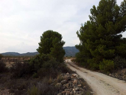 Pinoso property: Land with bedroom in Pinoso, Spain 99151