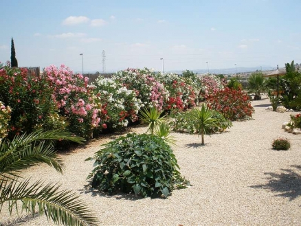 Alicante property | 4 bedroom Villa 99170