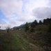 Pinoso property: bedroom Land in Alicante 99245