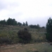 Pinoso property: Beautiful Land for sale in Pinoso 99245