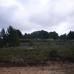 Pinoso property: Beautiful Land for sale in Alicante 99245