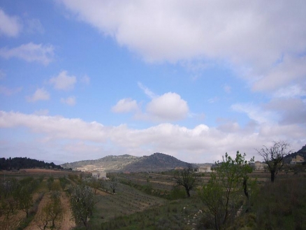 Pinoso property: Land with bedroom in Pinoso 99246