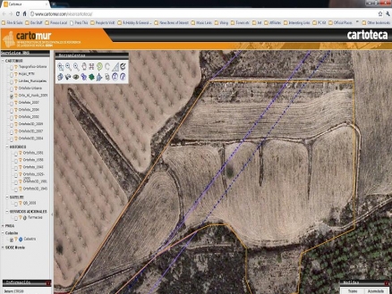 Pinoso property: Land for sale in Pinoso 99248