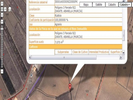 Abanilla property: Land for sale in Abanilla, Spain 99297