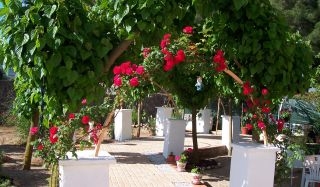 Villa for sale 99301