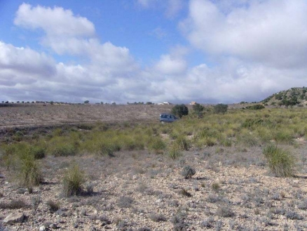 Yecla&nbsp;property:&nbsp;Land&nbsp;for&nbsp;sale&nbsp;in&nbsp;Yecla&nbsp;99329